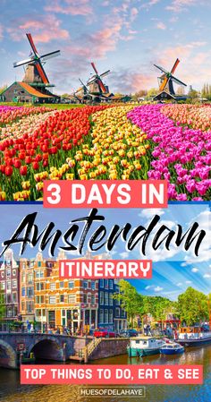 three days in amsterdam itinerary top things to do, eat and see