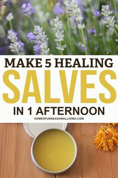 Mullien Leaf Salve, Eggplant Salve Benefits, Rosemary Salve, Homemade Salve Recipes, Botanical Apothecary, Natural Medicines, Folk Remedies, Medicine Recipes