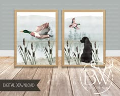 two watercolor paintings of ducks flying over reeds with a dog in the foreground