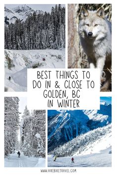 Best things to do in Golden, BC in winter