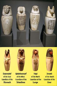 an assortment of ancient egyptian vases displayed in a museum display case with information about them