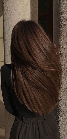 50 Stylish Brown Hair Colors & Styles for 2022 : Smooth Rich Chocolate Brown Hair Rich Chocolate Brown Hair, Rich Brown Hair, Warm Brown Hair, Chestnut Brown Hair, Brown Hair Shades, Brown Hair Looks, Brown Hair Inspo, Chocolate Hair, Chocolate Brown Hair