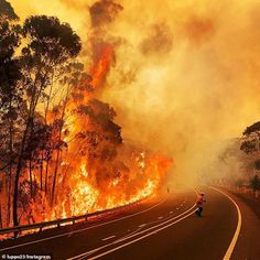 the fire is burning on the side of the road and trees are in the background