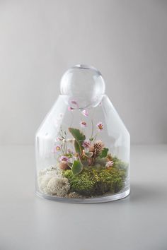 a glass vase filled with plants and rocks