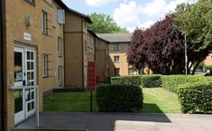 an apartment building with hedges and trees in the front yard