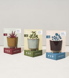 three boxes with plants in them sitting on a table next to each other and one box is empty