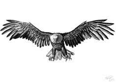 an eagle flying in the air with its wings spread