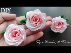 three pink roses are being held in someone's hand