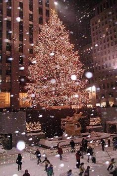 a large christmas tree in the middle of a city