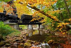 an old train traveling over a bridge in the woods next to a stream and trees with yellow leaves