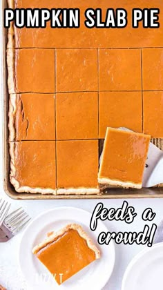 a pumpkin slab pie on a white plate