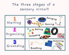 the three stages of a sensory circuit are shown in this graphic above it's description