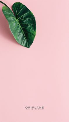 a large green leaf on top of a pink background with the words oriflame