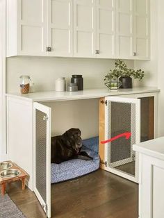 a black dog laying on top of a blue bed under a white cabinet in a kitchen