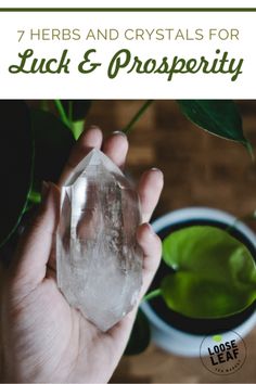 a person holding an ice cube in their hand with the title 7 herbs and crystals for luck & prosperity