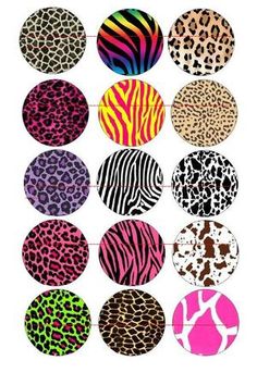 an animal print pattern with different colors and patterns on the bottom half of each circle