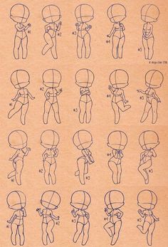 an image of different types of human head and body shapes in various poses, from the front to the back