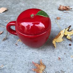 a red apple sitting in a cup on the ground