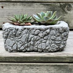 two succulent plants in a rock planter on a wooden porch steps with weathered wood planks