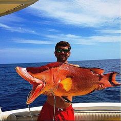 a man on a boat holding a large fish