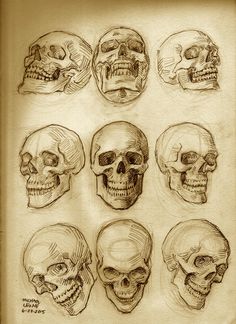 a bunch of skulls that are drawn in pencil