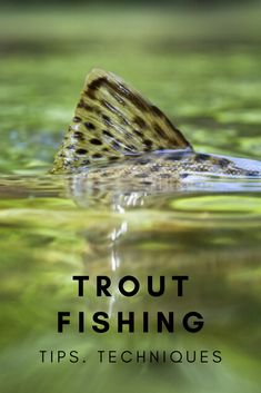 a close up of a fish in water with the words trout fishing tips, techniques and tricks