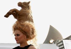 Horse hairstyle Pictures Of The Week, Hair Photo, Bad Hair Day, Horse Hair, Horse Head, Hair Humor