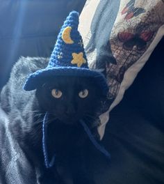 a black cat wearing a knitted wizard hat