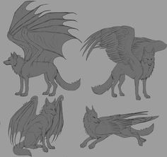 four different types of wolfs with wings