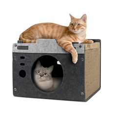 an orange and white cat laying on top of a cardboard box with another cat in it