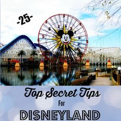 the top secret tips for disneyland