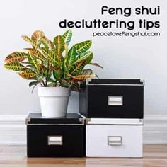 three boxes with plants in them sitting on the floor next to a wall that says, feng shui decluttering tips