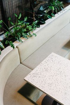 an outdoor seating area with plants in the back and on the side, next to a white table