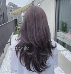 Cool Toned Purple Brown Hair, Dark Grey Purple Hair, Dark Ash Purple Hair, Lavender Beige Hair, Chocolate Lavender Hair