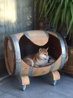 a dog laying in a wooden barrel shaped bed