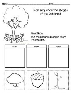 worksheet for beginning with the letter i in english and spanish that includes pictures of trees