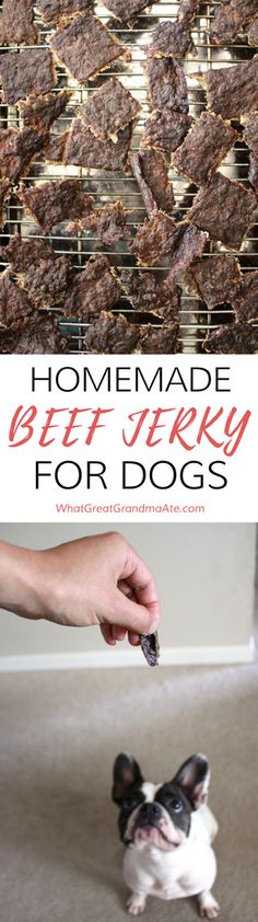 there is a small dog standing in front of a grill with meat on it and the words homemade beef jerry for dogs