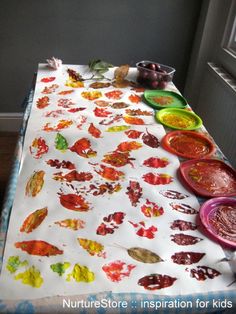 a table covered in lots of different types of paint and paper plates on top of it