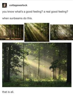 Good Feeling, Nature Aesthetic, Pics Art, Pretty Places, In The Woods, Pretty Pictures, Beautiful World, Mother Nature, Beautiful Nature