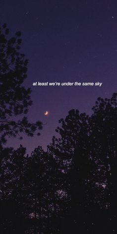 the night sky is lit up with trees in front of it and an inscription that reads at least we're under the same sky