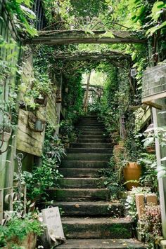 an old set of stairs leading up to a green house with lots of plants growing on it