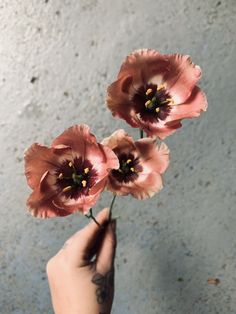 a person holding three pink flowers in their left hand, with one flower on the other