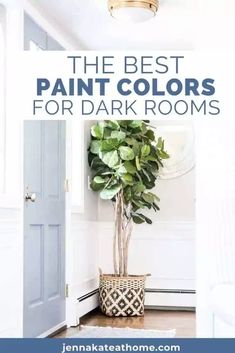 the best paint colors for dark rooms with text overlay that reads, the best paint colors for dark rooms