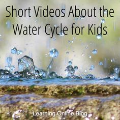 the words short videos about the water cycle for kids