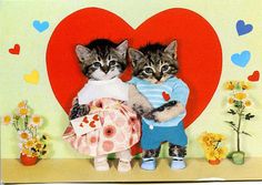 two kittens are standing next to each other in front of a heart