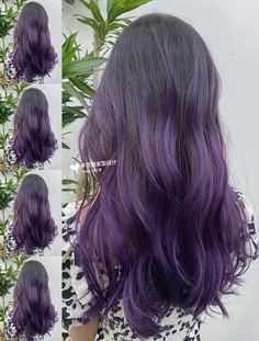 Brown Hair Violet Highlights, Asian Hair Purple, Dark Violet Highlights, Purple Dyed Ends, Pelo Morado Aesthetic, Hair Inspo Color Purple, Brown And Purple Hair Balayage, Asian Purple Hair, Brown Hair With Purple Undertones