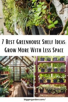 greenhouse with lots of plants in it and the words 7 best greenhouse shelf ideas grow more with less space