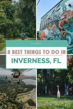 the best things to do in ivvreness, fl