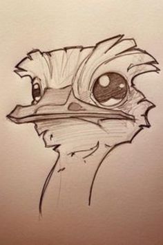 a drawing of a bird with big eyes