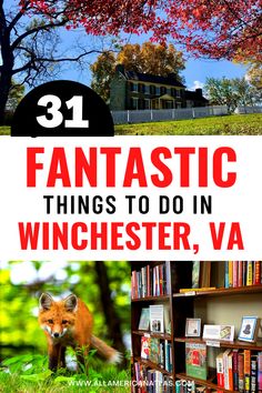 Things to do in Winchester Virginia Winchester Va Things To Do In, Winchester Virginia, Winchester Va, Best Vacation Destinations, Nature Trails, Family Hiking, Stunning Nature